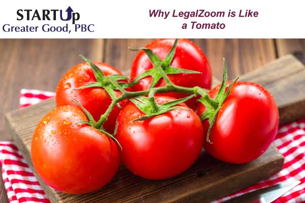 pitfalls of using legalzoom